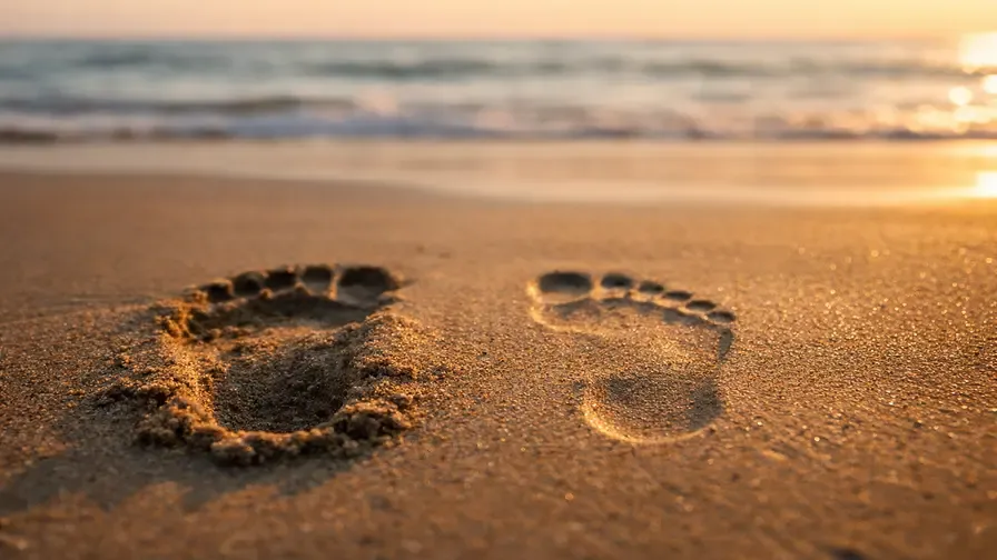 Impronta o segno: che traccia lasci?