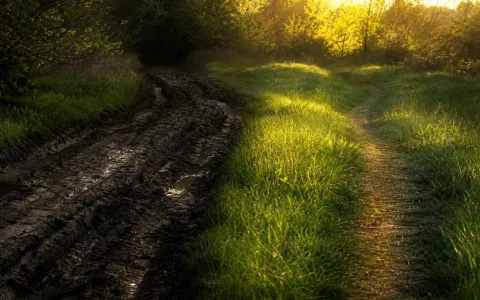 Impronta o segno: la scelta che ti definisce